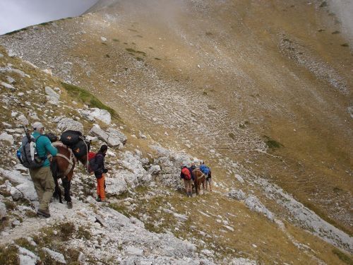 trekking con i muli-39.jpg